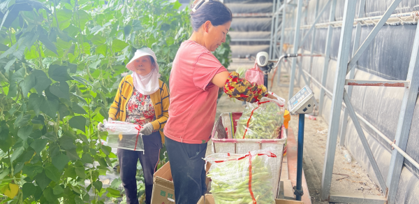 屏幕截图 2024-07-31 163908.png