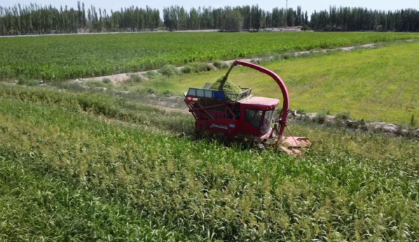 屏幕截图 2024-07-31 172706.png