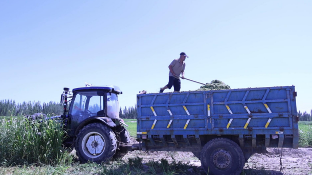 屏幕截图 2024-07-31 172721.png