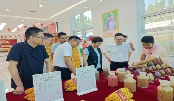 08071723018196249320.png screenshot-1723017992449.png