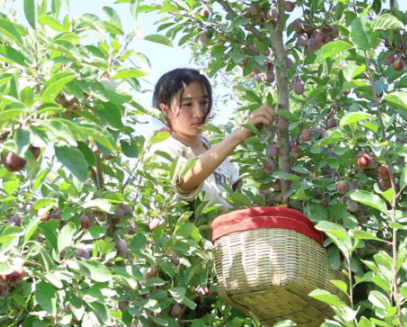 08071723034396121865.png 屏幕截图 2024-08-07 203945.png