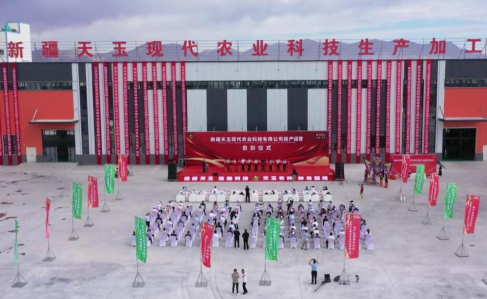 屏幕截图 2024-08-13 185730.png