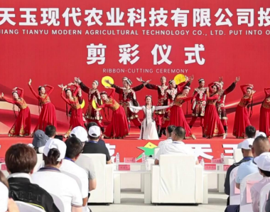 屏幕截图 2024-08-13 185733.png