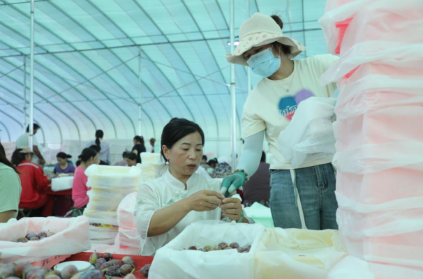 08151723725598917346.png 屏幕截图 2024-08-15 203947.png