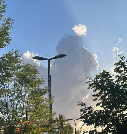 08161723797318439498.png screenshot-1723797299161.png