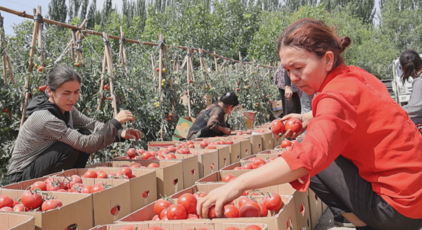 08161723808111106554.png 屏幕截图 2024-08-16 193456.png