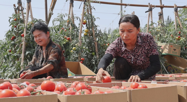 08161723808116724562.png 屏幕截图 2024-08-16 193503.png