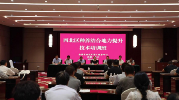 屏幕截图 2024-08-16 211753.png