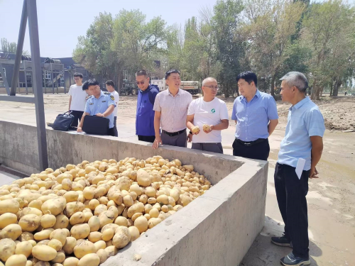 08171723872606824238.png 76ff4236122cf7e2d66ee18fffe0535.png