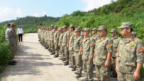 图为  分工现场（石弟  摄影）.png