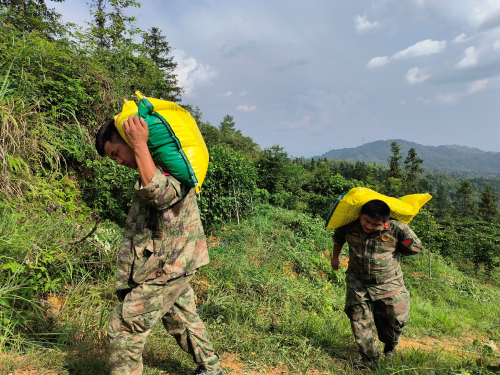 图为  搬运肥料现场（鲁畅  摄影）.png