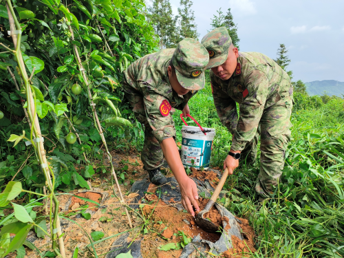 图为  施肥现场（鲁畅  摄影）.png