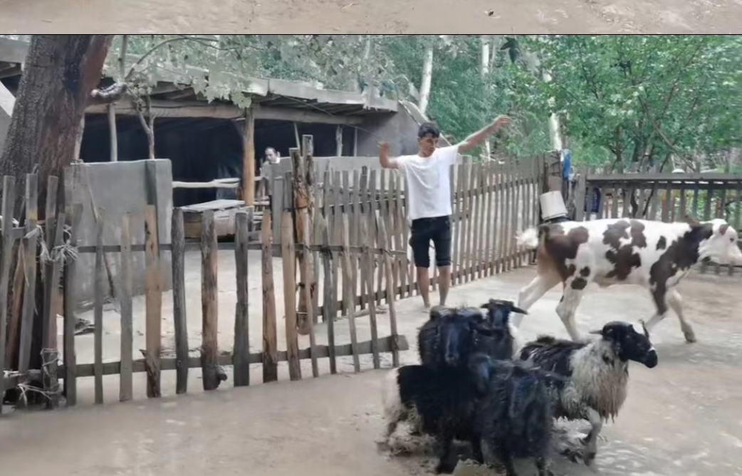 屏幕截图 2024-08-24 192558.png