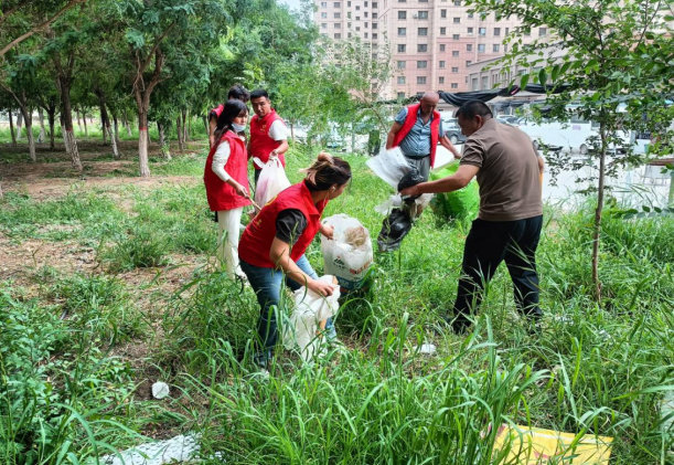 08271724762593956206.png 屏幕截图 2024-08-27 204309.png