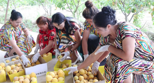 08301725008145590455.png 屏幕截图 2024-08-30 165520.png