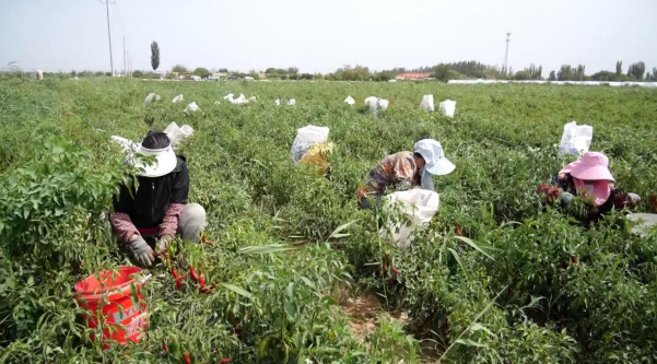 08301725008282235071.png 屏幕截图 2024-08-30 165748.png