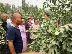 致富不忘众乡亲  民族团结好典范