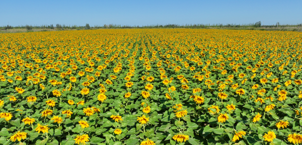 屏幕截图 2024-09-07 203335.png