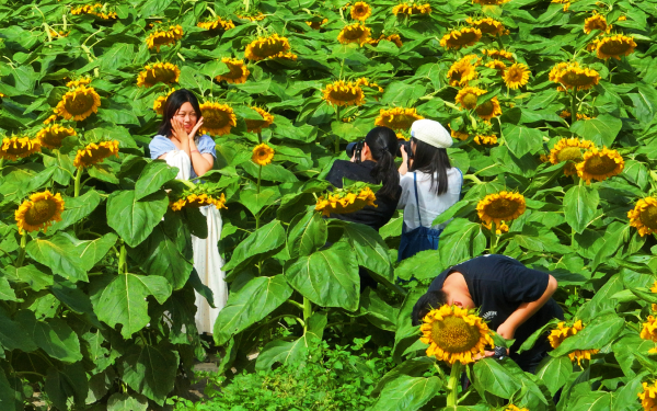 屏幕截图 2024-09-07 203341.png