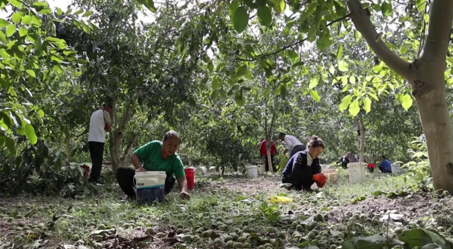 09101725974149728072.png 屏幕截图 2024-09-10 211548.png