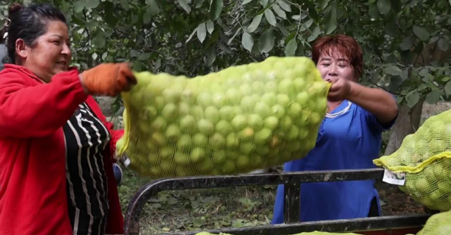 09101725974155880366.png 屏幕截图 2024-09-10 211551.png