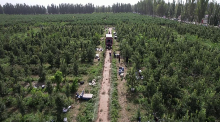 屏幕截图 2024-09-11 202224.png