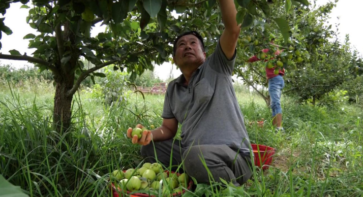 屏幕截图 2024-09-11 202230.png