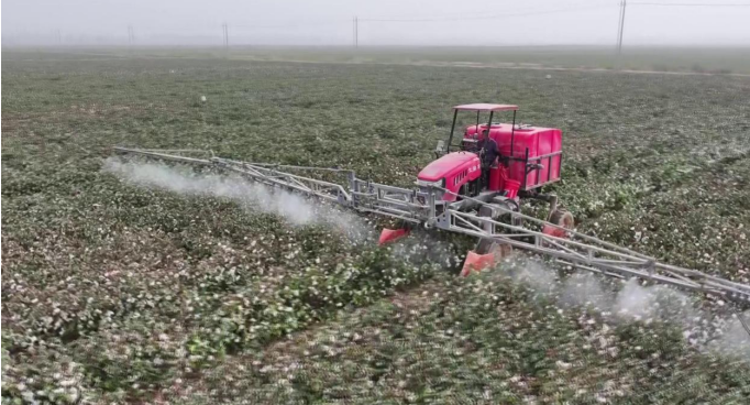 屏幕截图 2024-09-11 202554.png