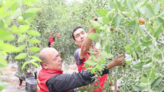 屏幕截图 2024-09-12 210507.png