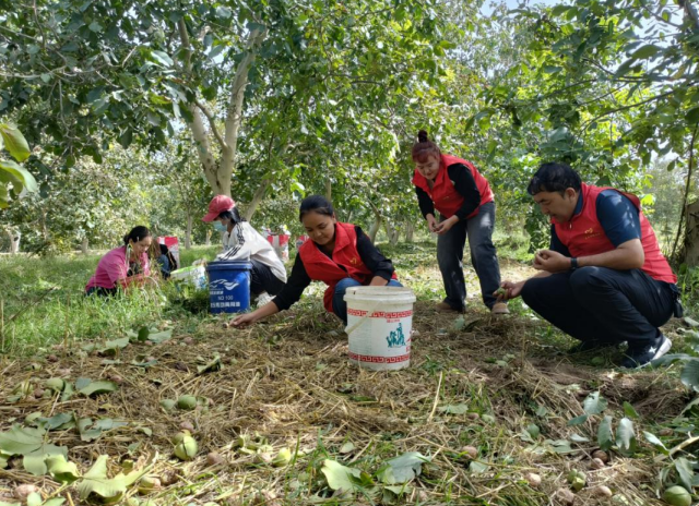 屏幕截图 2024-09-12 210519.png