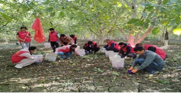 09131726233648941881.jpeg 屏幕截图_13-9-2024_211710_mail.163.com.jpeg