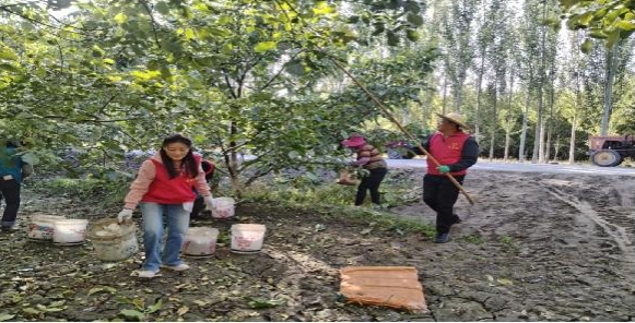 09131726233653537532.jpeg 屏幕截图_13-9-2024_211726_mail.163.com.jpeg