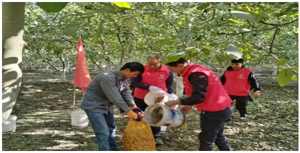 09131726233659912928.jpeg 屏幕截图_13-9-2024_211745_mail.163.com.jpeg