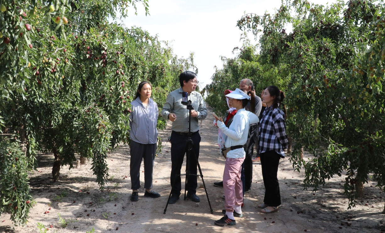 09261727312244391334.png screenshot-1727312199666.png