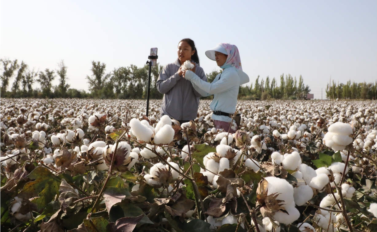 09261727312260331206.png screenshot-1727312216571.png