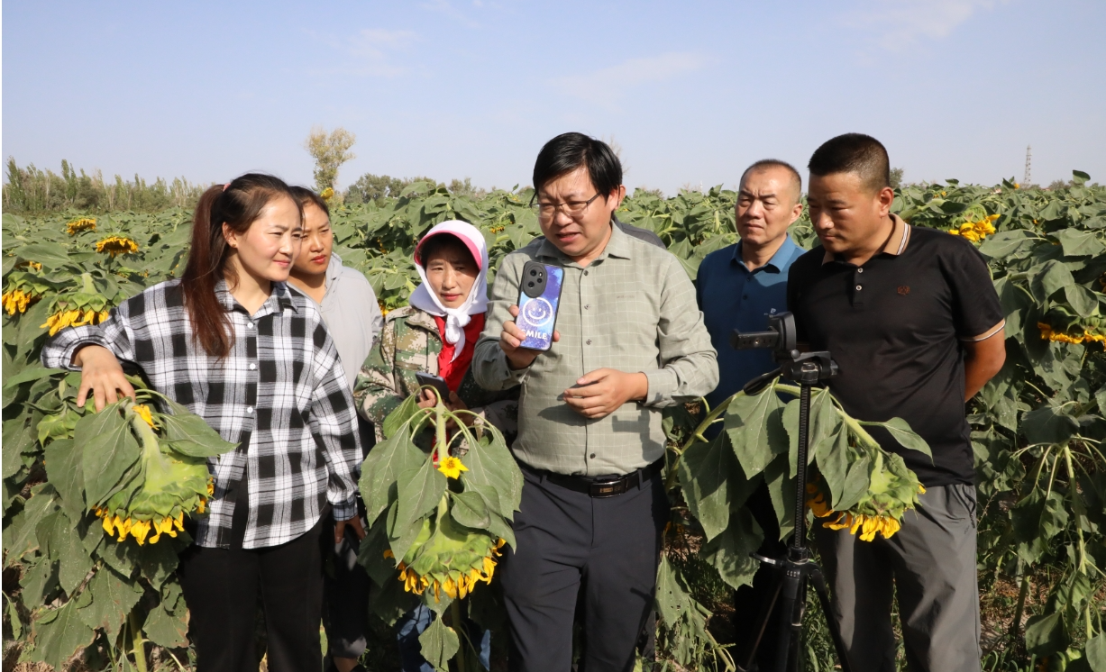 09261727312271817595.png screenshot-1727312231216.png