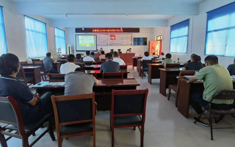 10011727744004500242.png screenshot-1727743974737.png