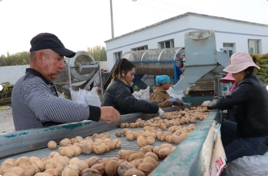 10161729085959401764.png screenshot-1729085912752.png