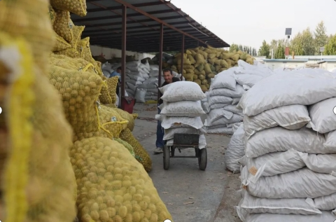 10161729085970265001.png screenshot-1729085942410.png