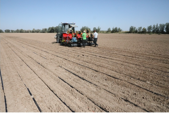 10171729148823834114.png screenshot-1729148797403.png