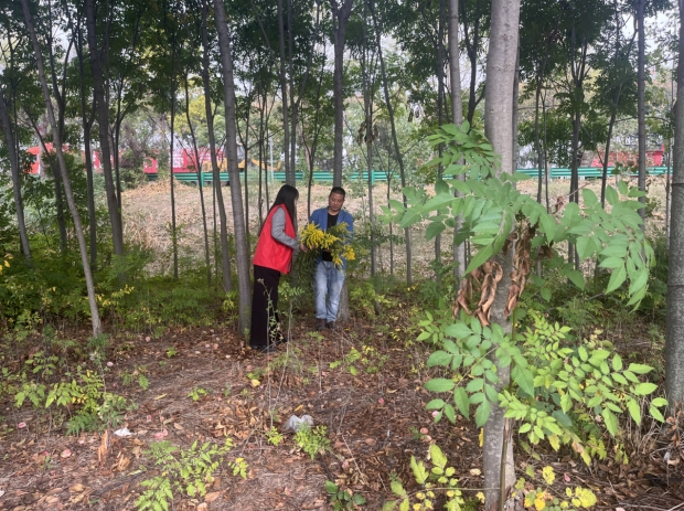 10171729152939676495.png screenshot-1729152928598.png