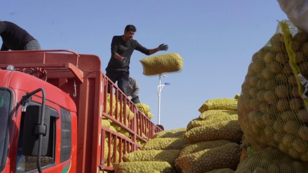 10231729664173247570.png screenshot-1729663467104.png