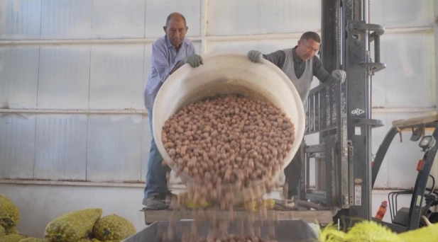 10231729664187785854.png screenshot-1729663477083.png