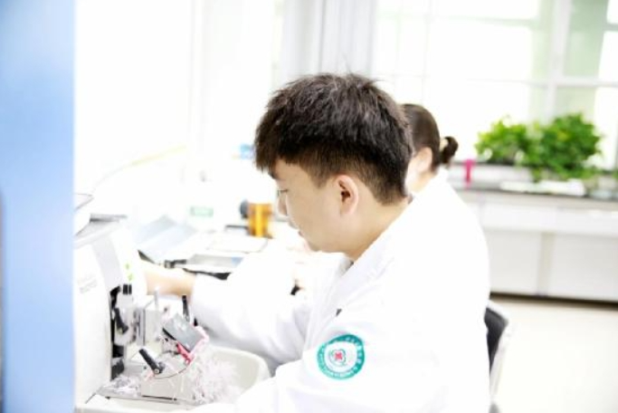 10271730020403333934.png screenshot-1730020376893.png