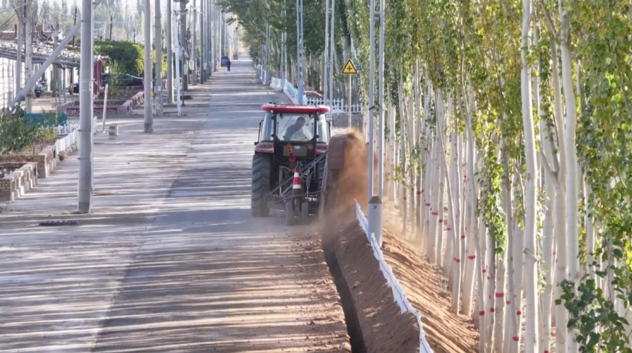 10301730282060886233.png screenshot-1730281852243.png