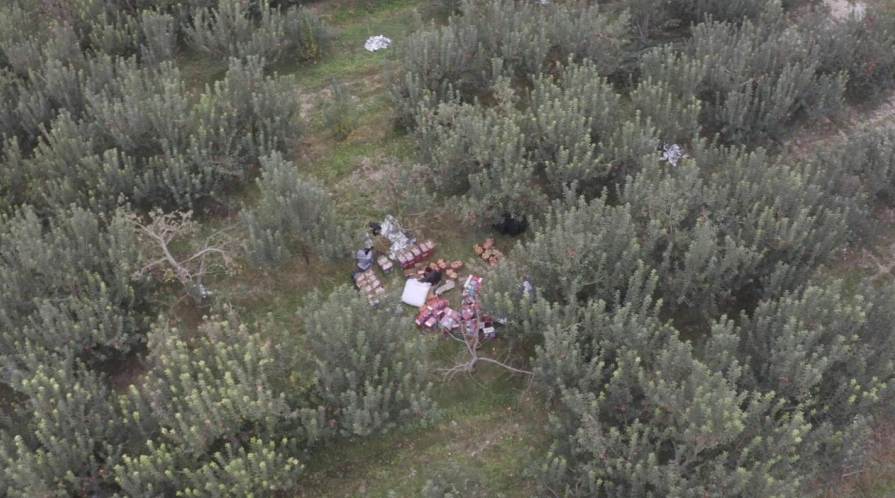 10301730282590418114.png screenshot-1730281887198.png