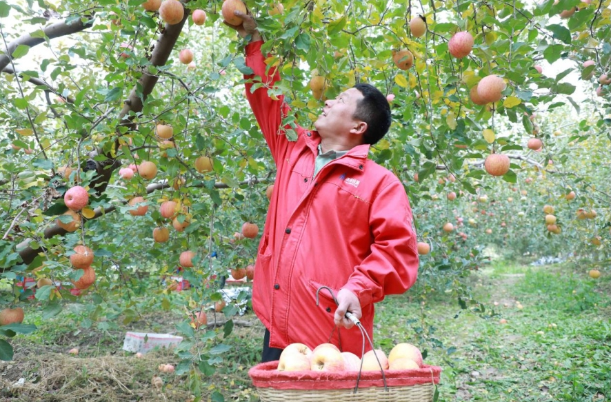 10301730282616427496.png screenshot-1730281898429.png