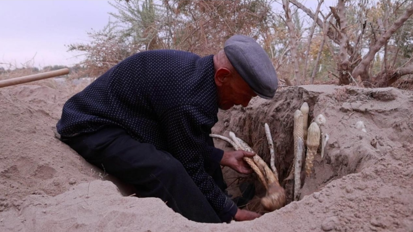 11011730446693844253.png screenshot-1730446433784.png