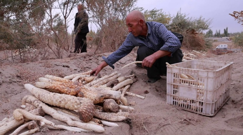 11011730446714749187.png screenshot-1730446444176.png