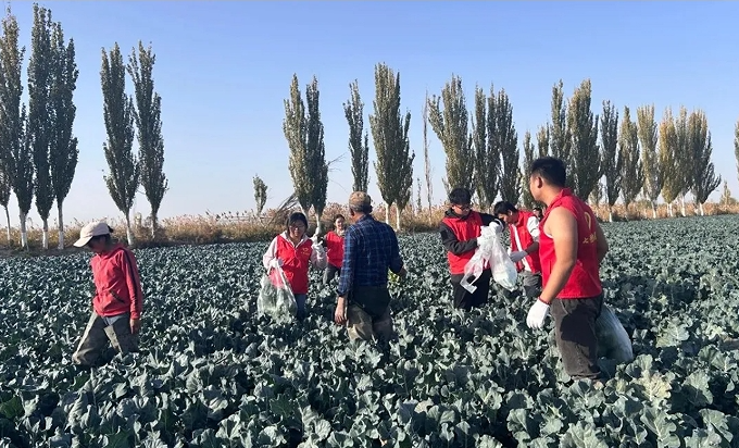 11011730452805782100.png screenshot-1730452500882.png